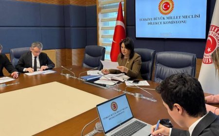 TBMM Dilekçe Komisyonu'na ilginç talepler. "İstanbul kışlık, Ankara yazlık başkent olsun"