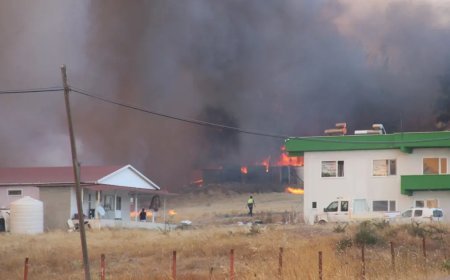 Çanakkale'de ormanlık alanda yangın çıktı. Köylere çok yakın bir bölge