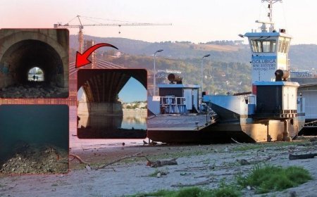 117 yıllık rekor kırıldı! Tuna Nehri'nde su seviyesi tarihi dip noktaya indi