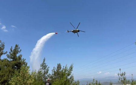Bursa'da çıkan orman yangını büyümeden söndürüldü