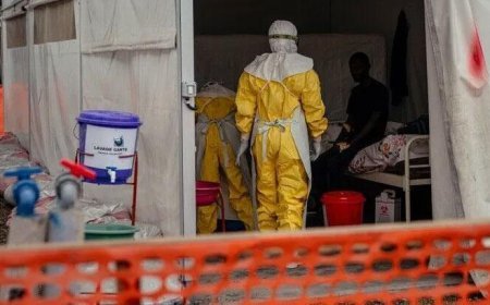 Kongo Demokratik Cumhuriyeti'nde Ebola vakaları 3 bin 748'e çıktı
