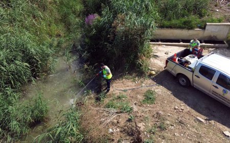 Tekirdağ’da vektörlere karşı kesintisiz mücadele