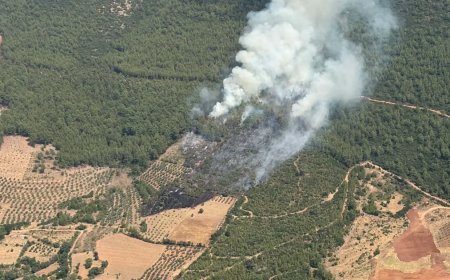 Muğla Yatağan'da orman yangını. Ekipler müdahale ediyor