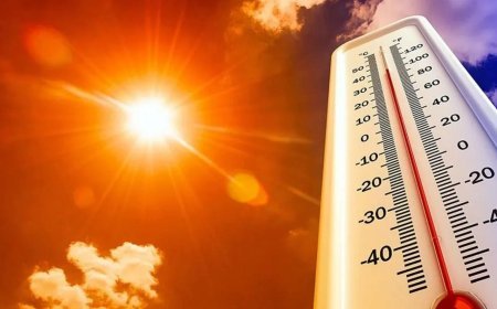 Sıcak hava dalgası bilançosu ağırlaşıyor! Can kaybı 21'e yükseldi
