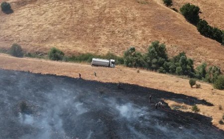 Tunceli'de otluk alandan ormana sıçrayan yangın söndürüldü
