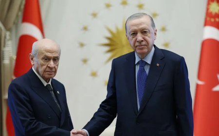 Cumhurbaşkanı Erdoğan, Devlet Bahçeli ile görüştü