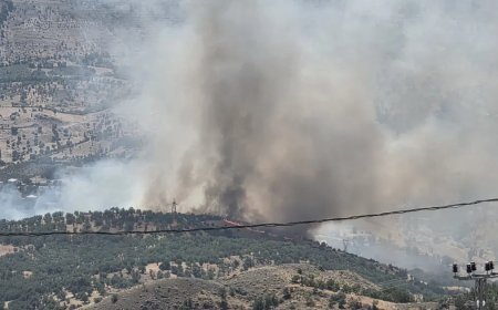 Adıyaman'da orman yangını. Ekipler müdahale ediyor