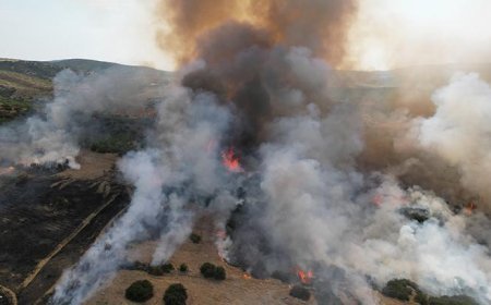 Manisa'da orman yangını! Havadan ve karadan dev müdahale