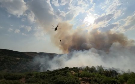 Manisa'da orman yangını. Kontrol altına alındı, soğutma çalışması sürüyor