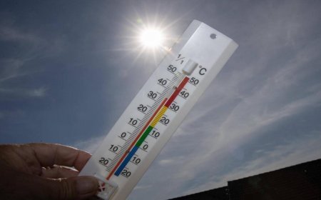 Batı Avrupa kavruluyor! Haziran-Temmuz dönemi sıcaklık rekoru kırıldı