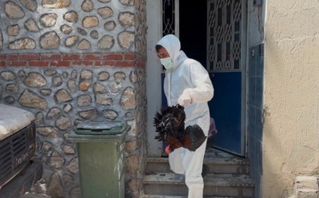 Mahalle pire istilasıyla karşı karşıya kaldı! 3 katlı binadan çıkanlar şaşkına çevirdi