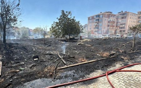 Ot yangınında alevler park halindeki araçlara sıçradı; 1 TIR yandı, 2 otomobil zarar gördü