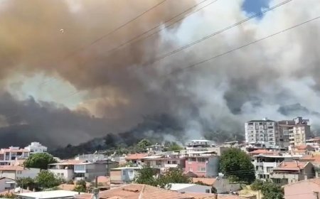 Balıkesir'de orman yangını. Alevler yerleşim yerine yaklaştı