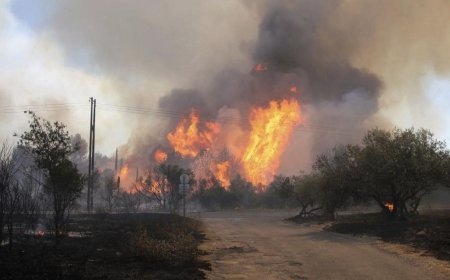 50 kentte turuncu alarm! Fransa alevlere teslim!