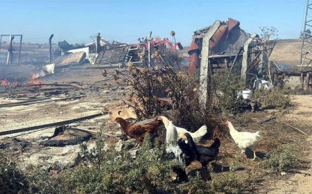 Tekirdağ'da anız yangını; 4 çiftlik evi yandı