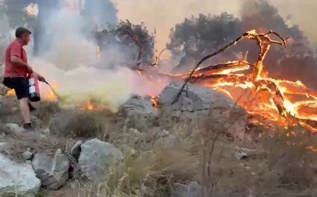 Antalya'da orman yangını. Yangın tüplerini eşekle taşıdılar