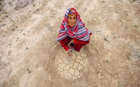 Batı Afrika'da iklim krizi etkisi. "Yaklaşık 32 milyon kişi yerinden olabilir"