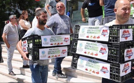 Tekirdağ Büyükşehir Belediyesi'nden kışlık sebze üretimine destek