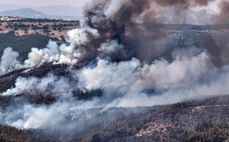10 orman yangınına soruşturma. 2 şüpheli tutuklandı, 3 şüpheli gözaltında