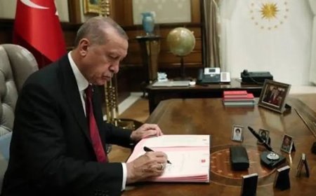 10 üniversiteye rektör atandı