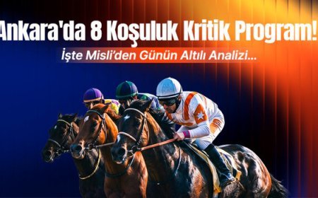 Ankara'da 8 koşuluk kritik program! İşte Misli'den günün altılı analizi...