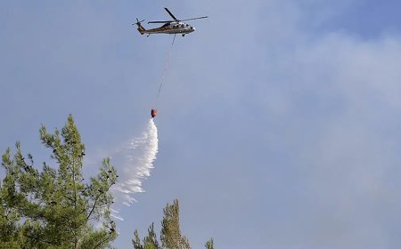 Muğla Fethiye'deki orman yangını kontrol altında