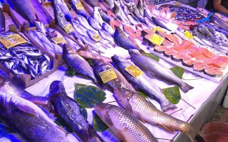 Müjdeyi verdi, bu yıl bolluk yaşanacak. Fiyatlar uygun olacak
