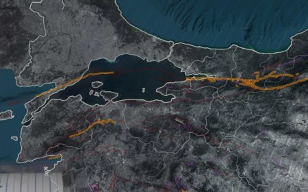 İstanbul'da geceden sabaha deprem hareketliliği. Adalar çevresindeki depremler ne anlama geliyor?