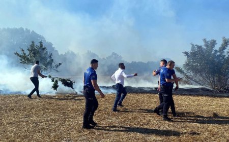 Tekirdağ’da anız yangınında 150 dekar alan zarar gördü