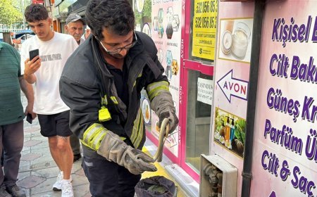 Doğalgaz kutusuna giren yılanı itfaiye ekipleri çıkardı