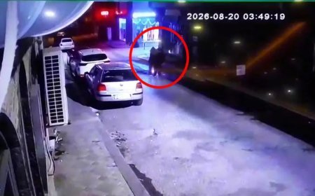Üç kardeşin Darıca sahilinde gizemli ölümü. Tek renk giyinmişler, kol kola yürümüşler