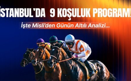 İstanbul'da 9 koşuluk program! İşte Misli'den günün altılı analizi...