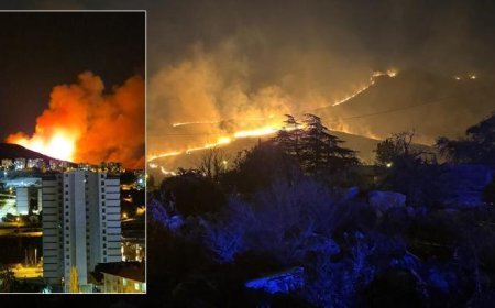 Ankara Mamak'ta ağaçlık alanda yangın! Ekipler müdahale ediyor
