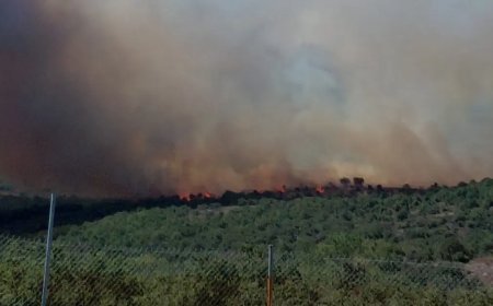 Gebze'de orman yangını. BOTAŞ boşaltılıyor
