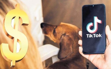 TikTok davasında 400 milyon uzlaşma