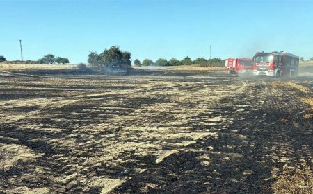 Çorlu'da yangında 40 dönüm tarım alanı zarar gördü
