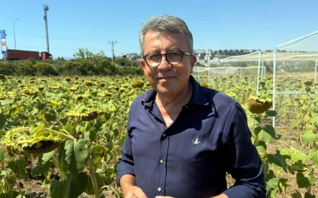 Prof. Dr. Orta: Trakya’da ayçiçeği üretiminde eksiğimiz olacak