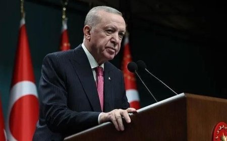 Cumhurbaşkanı Erdoğan, Litvanya Başbakanı Sinkevicius ile telefonda görüştü