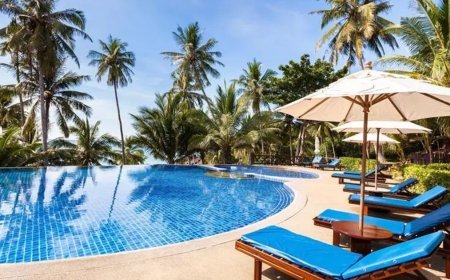 Otel ve pansiyonlara yeni kurallar. Resepsiyondan havuza birçok şey değişecek