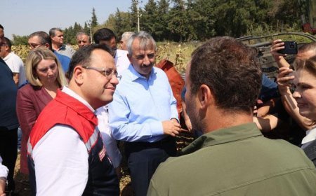 Tarım ve Orman Bakan Yardımcısı Gizligider: Neredeyse bütün ürün gruplarında rekor bir üretim var