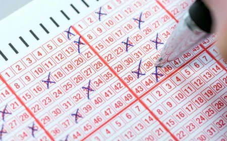 Sayısal Loto sonuçları açıklandı: Dev ikramiye sahibini buldu mu? 26 Ağustos 2026 MPİ Çılgın Sayısal Loto bilet sorgulama ekranı
