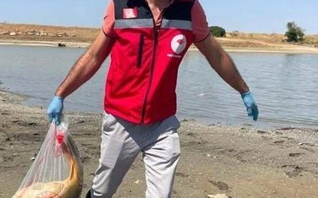 Tekirdağ'da gölette balık ölümlerine inceleme
