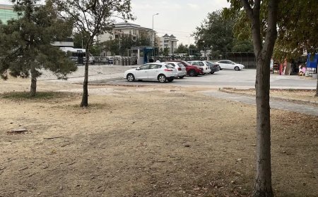 Kıskançlık kavgası. 15 yaşındaki kız çocuğu bıçaklandı