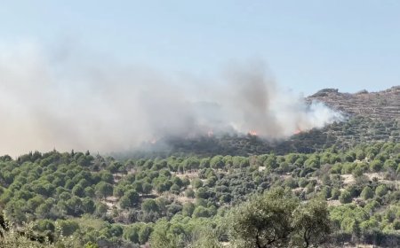 İzmir'de orman yangını