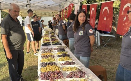 Tekirdağ'da 'Bağ Bozumu Şenliği' düzenlendi