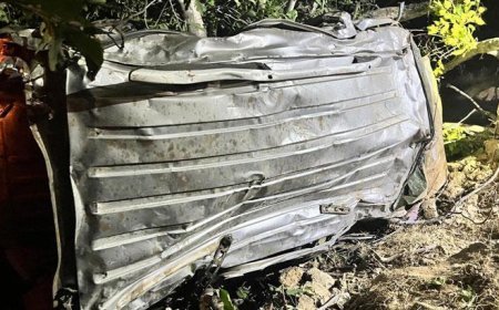 Bingöl'de feci kaza! Hafif ticari araç uçuruma yuvarlandı: 4 ölü, 5 yaralı