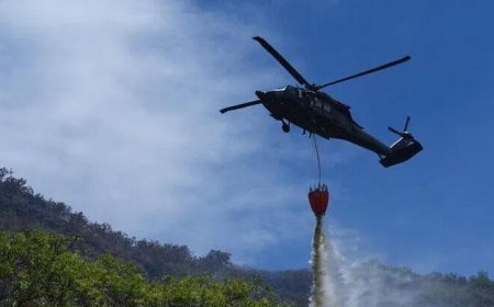 Kolombiya'da orman yangınları nedeniyle 'kamusal acil durum' ilan edildi