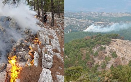 Mersin'de korkutan orman yangını! Yıldırım düşen bölge alevlere teslim oldu
