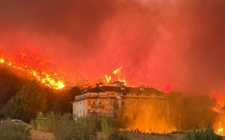 Fethiye'de orman yangını. Rüzgarın şiddeti azaldı, alevler büyük ölçüde kontrol altında