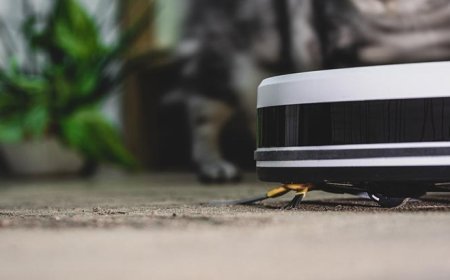 Aldatıldığını robot süpürgeden öğrendi! Yaptığı hamle sonradan başına bela oldu